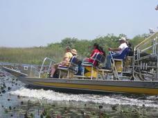Buffalo Tiger's Airboat Everglades