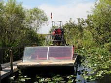 Buffalo Tiger's Airboat Everglades