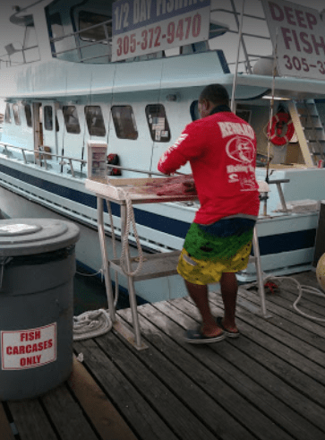 Reward Fishing Fleet - $45 PP - 10 Best Miami Fishing
