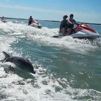 American WaterSports South Beach LLC