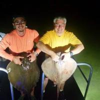 Bowfishing heaven with a variety of species