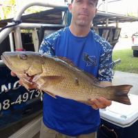 Everglades Fishing