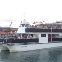 Bayride Mansions Of Miami Best Beach Tour