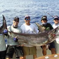 World Sailfish Tournament