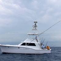 Key Biscayne 10 Best Miami Fishing Charters