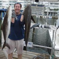 Dolphin Fishing In Miami