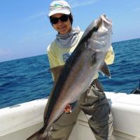 Sailfish Fishing In Miami