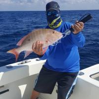 Evening Tarpon Fishing Charters