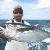 Sight Fishing for Cobia, Mahi-Mahi, and Tuna