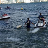 Miami Water Life Tours Inc