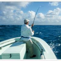 Nomad Fishing Charters