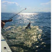 Boat & Tackle Nomad Fishing Charters