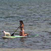 Sailboards Miami Windsurf Kayak SUP