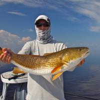 BONEFISH Fishing Charters