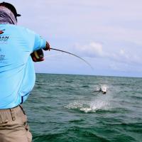 PERMIT Fishing Charters