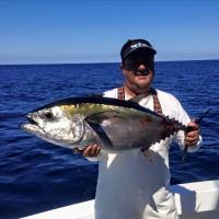 Reef fishing Charters