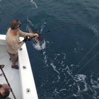 Luxury Fishing Charters