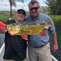  The Florida Peacock Bass 
