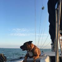 Ace Sailing Charters