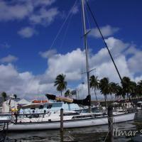 Ace Sailing Charters