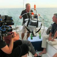 Ace Sailing Charters