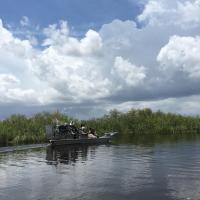 Airboat In Everglades