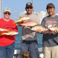 Blue Fin Charters