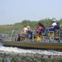 Buffalo Tiger's Airboat Tours