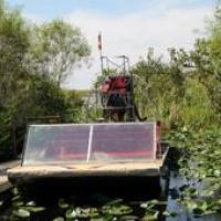 Buffalo Tiger's Airboat Tours