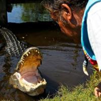 Buffalo Tiger's Airboat Tours