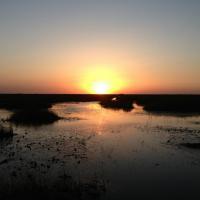 Cypress Airboats