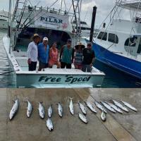 Free Spool Sportfishing - Private Charters