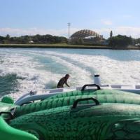 Gator Bait Wakeboard School