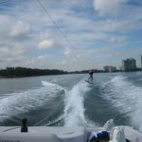 Gator Bait Wakeboard School