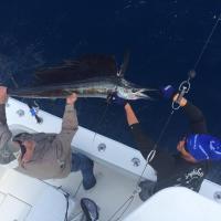 Getchasome Fishing Charters