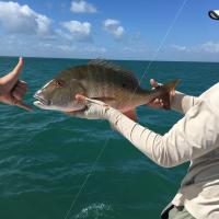 Bonefish Fishing Charters