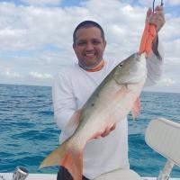 Miami Inshore Fishing Charters