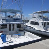 New Moon Sportfishing