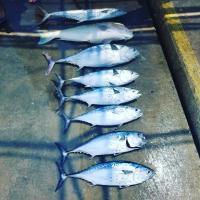 Outcast Charter Fishing