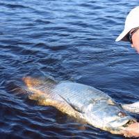 Rising Tide Charters - Fishing Trips