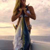 Biscayne 10 Best Miami Charters Fishing