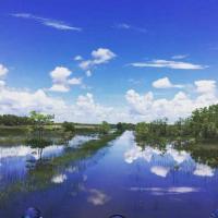 Tigertail Airboat Tours