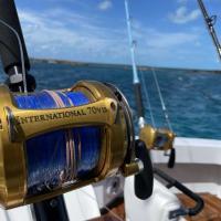 salt luxury miami sport fishing