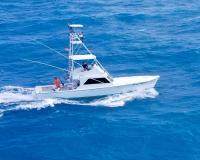 Free Spool Sportfishing - Private Charters