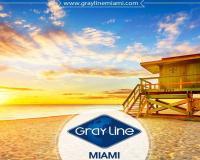 Gray Line Miami Tours