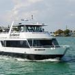 Bayride Mansions Of Miami Best Beach Tour