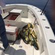 Sportfishing on Florida's East Coast