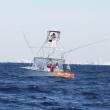 Miami Fishing Charters