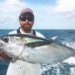 Sight Fishing for Cobia, Mahi-Mahi, and Tuna