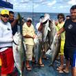 Kelley Fishing Fleet